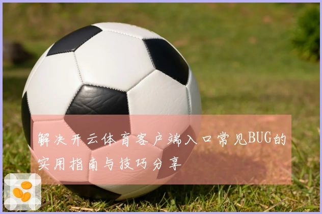 解决开云体育客户端入口常见BUG的实用指南与技巧分享