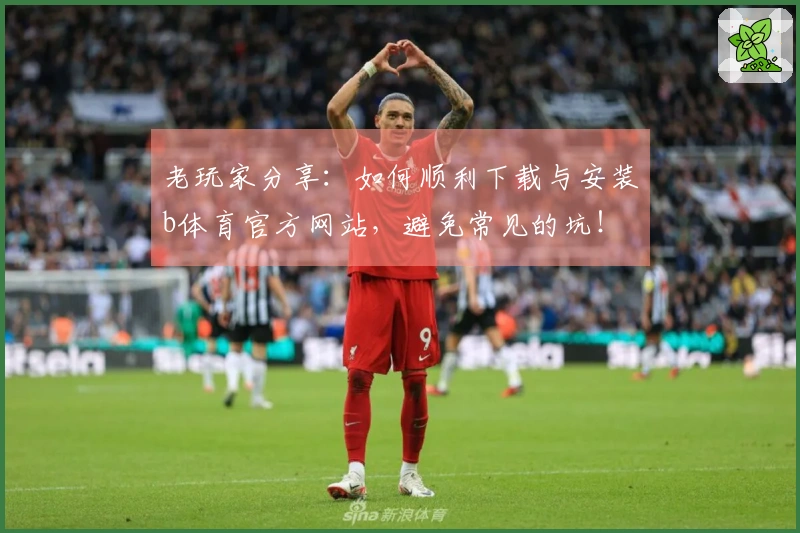 老玩家分享：如何顺利下载与安装b体育官方网站，避免常见的坑！