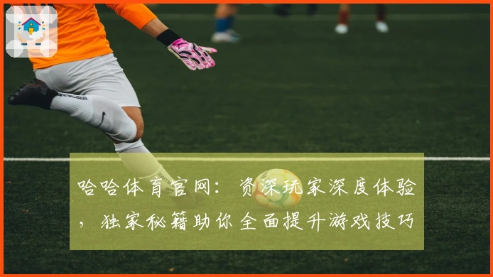 哈哈体育官网：资深玩家深度体验，独家秘籍助你全面提升游戏技巧与收益