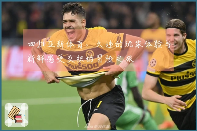 回归亚新体育,久违的玩家体验与新鲜感受交织的冒险之旅